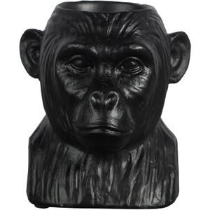 product - recommended by Carina Platzer