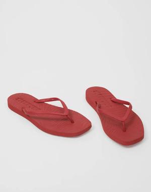 product - recommended by Randi Nestaker