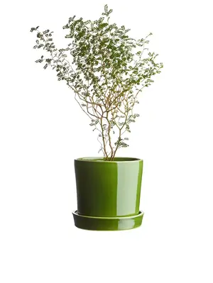 product - recommended by Tove Waldemar