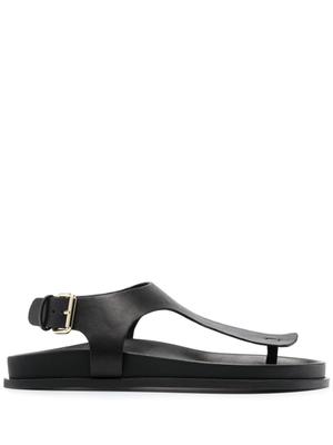 product - recommended by Francesca Saffari
