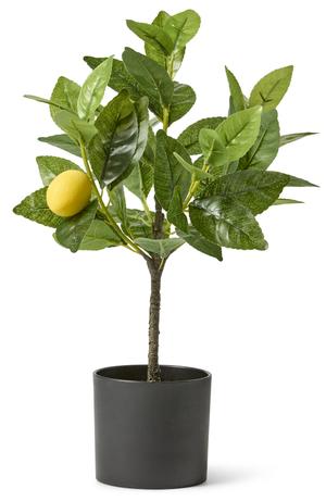 product - recommended by Anne-Charlotte  Andersson