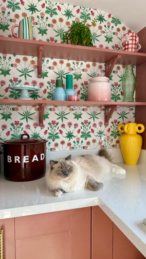 post - by Charlotte Cannon